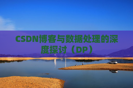 CSDN博客与数据处理的深度探讨（DP）